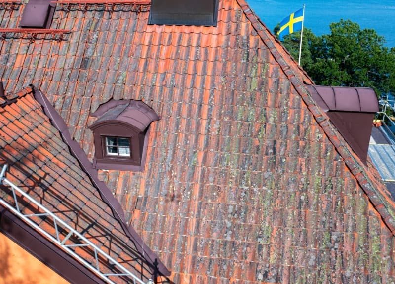 Gammalt mossbevuxet tegeltak med byggnadsställning